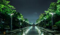 世紀(jì)公園和徐匯濱江跑道升級 更規(guī)范和人性化[圖]